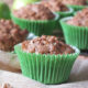 Apple Muffins with Cinnamon-Walnut Streusel Topping