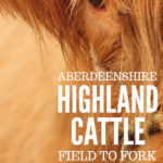 Aberdeenshire Highland Beef #highlandcow #highlandcattle #culinarytourism #beef