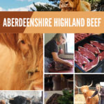 Aberdeenshire Highland Beef #highlandcow #highlandcattle #culinarytourism #beef