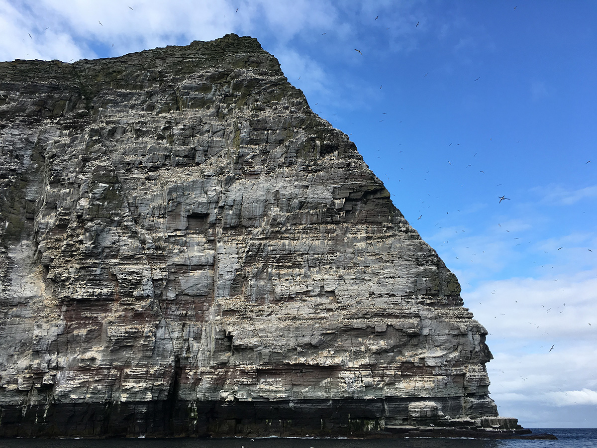 Noss Cliffs, Shetland image