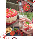 Perfect for summer, this strawberry Prosecco trifle recipe features strawberry jelly, Prosecco-soaked strawberries, homemade Madeira sponge cake, custard and sweetened whipped cream. #prosecco #trifle #strawberryrecipe #elizabethskitchendiary