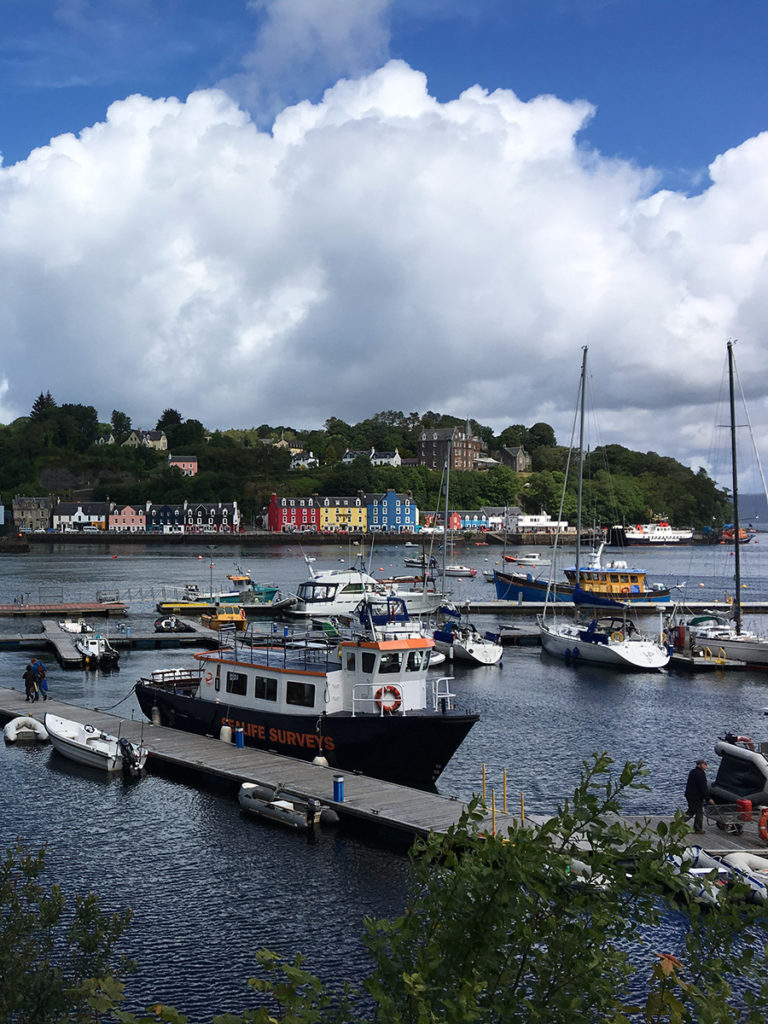 Agnes Kay Charters in Tobermory 1