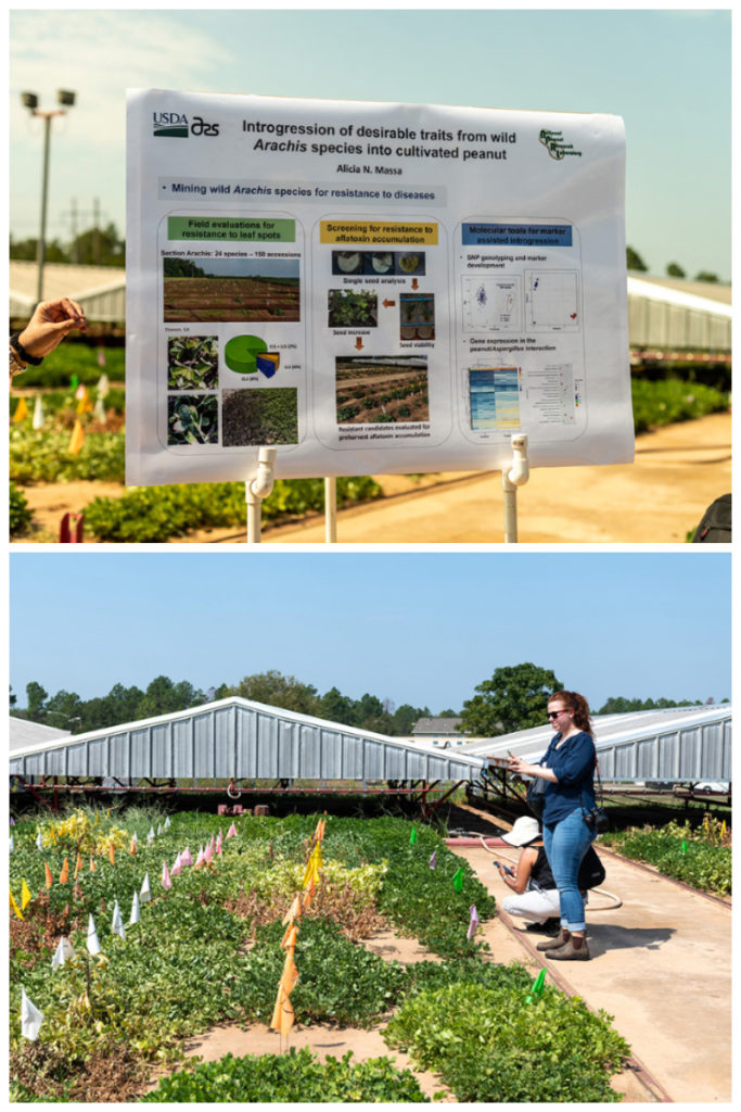 American Peanut Tour - peanut research lab