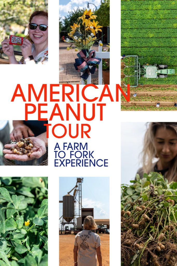 How are peanuts grown? How are they processed? How is peanut butter made? These are some of the questions we had answered on our American Peanut Tour in Georgia USA! #peanuts #usa #georgia