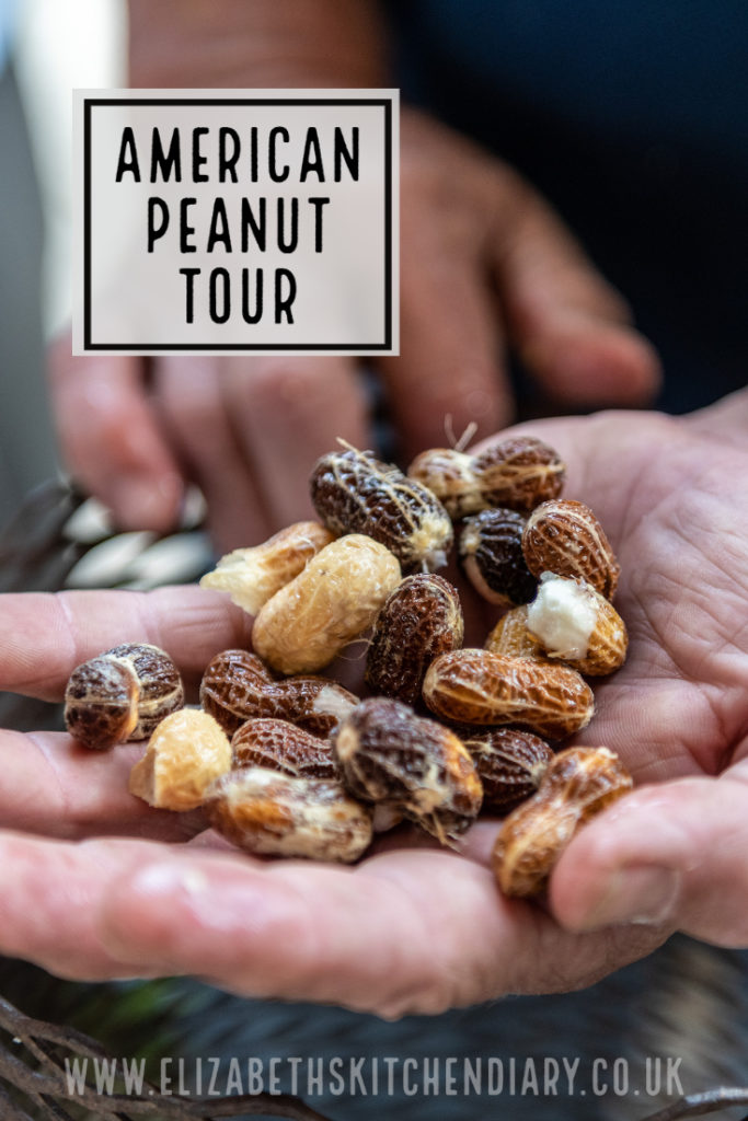 How are peanuts grown? How are they processed? How is peanut butter made? These are some of the questions we had answered on our American Peanut Tour in Georgia USA! #peanuts #usa #georgia