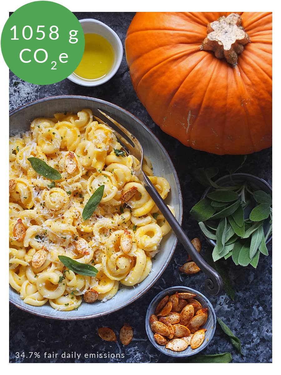 Picture of pumpkin pasta with environmental information labelled.