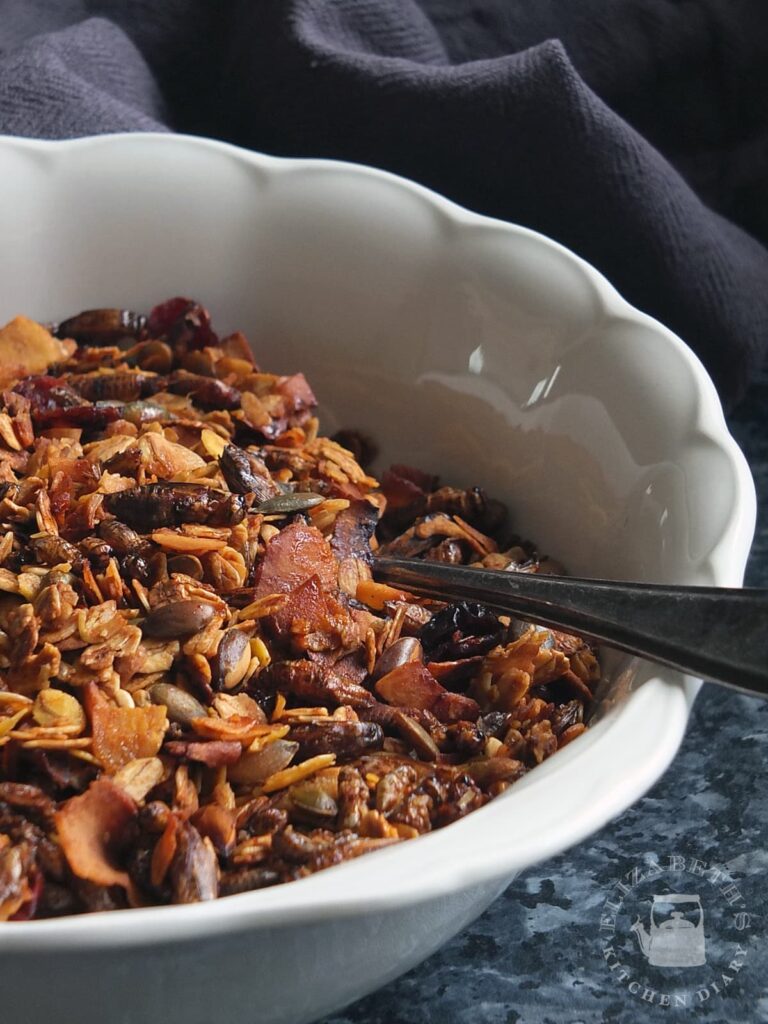 Image of a large bowl of crunchy cricket granola.