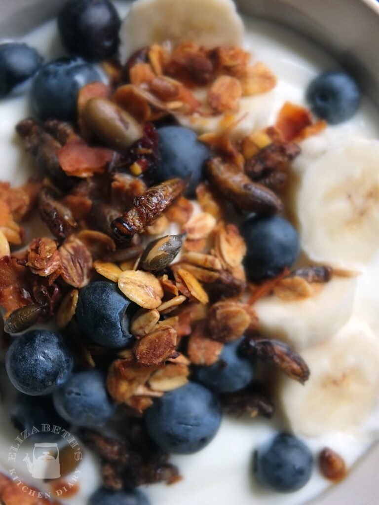 Image of whole dried cricket on top of crunchy granola, blueberries, sliced bananas and plain yoghurt. 