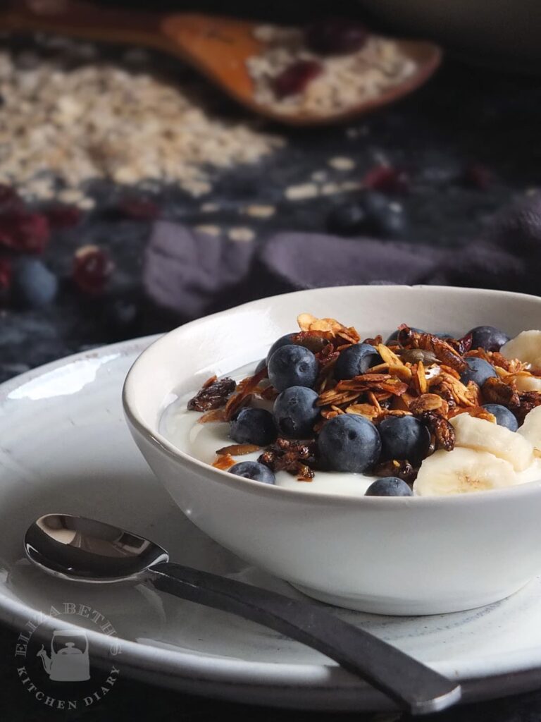 Photograph of a breakfast bowl with fruit, yoghurt and crunchy cricket granola.