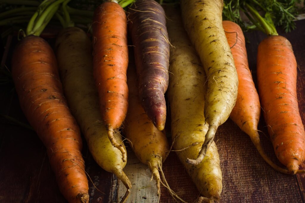 Dark moody photograph of heirloom rainbow carrots showing purple, yellow and orange colours. 