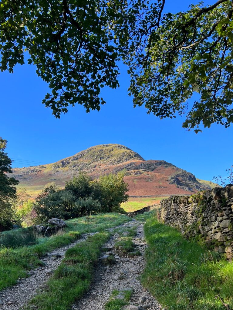 Image of a track leading to a large hill, leaves from a tree frame the edges of the image. 