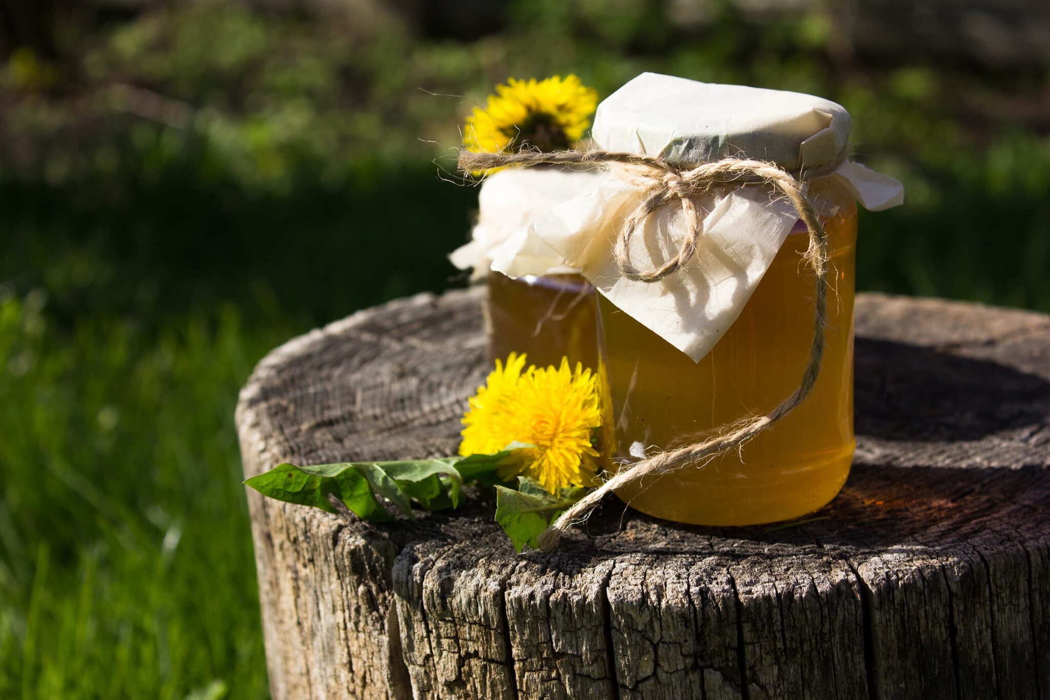 How to make Dandelion Honey Elizabeth's Kitchen Diary