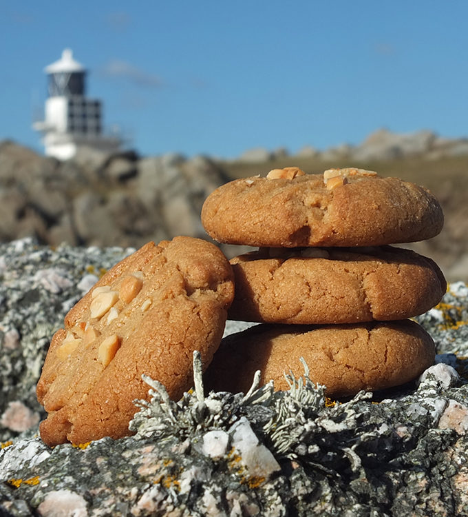 Peanut butter cookies are a classic family favourite. This dairy free version is super easy to make! #peanutbuttercookies #cookierecipe #elizabethskitchendiary