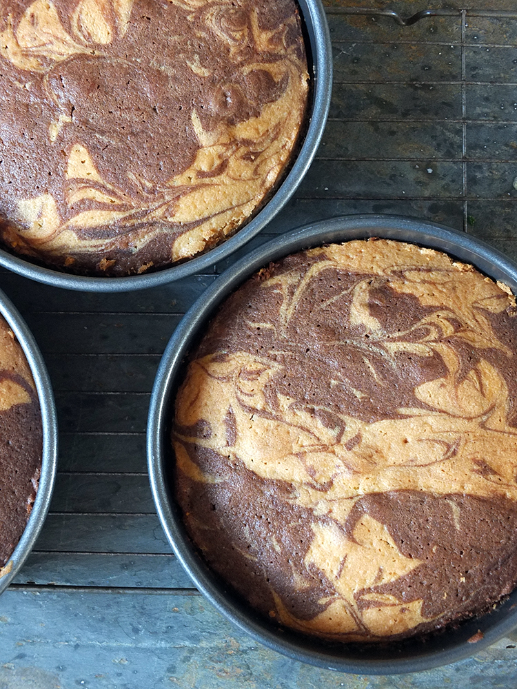body science chocolate & peanut butter swirl body science chocolate & peanut butter swirl