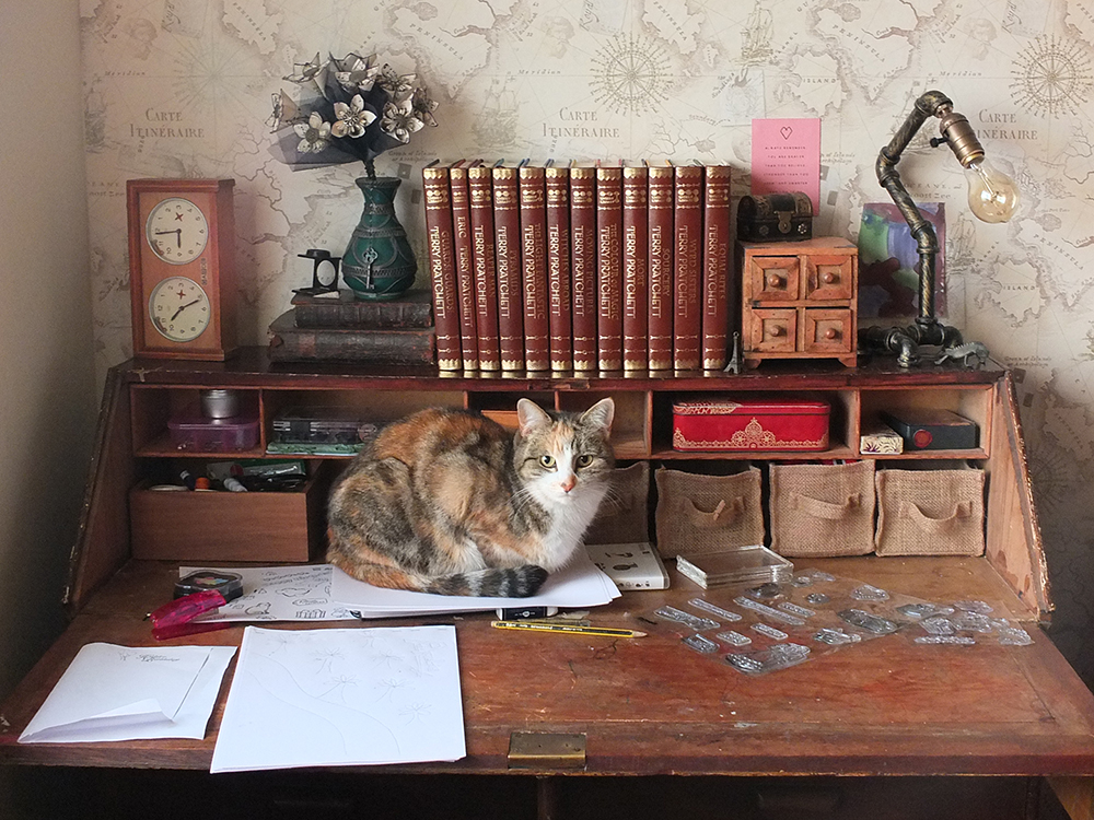 DIY Small Craft Storage Box Video Tutorial Elizabeth's Kitchen Diary