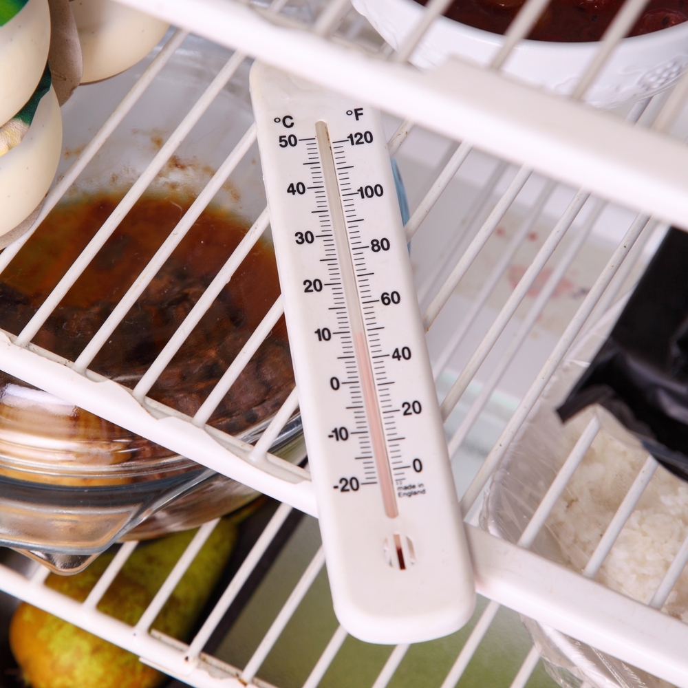 How to Make the Most out of your Fridge GiveUpBinningFood Elizabeth