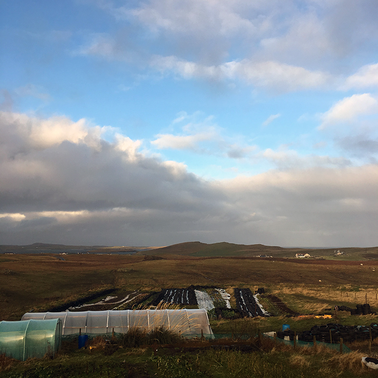 Transition Turriefield Shetland