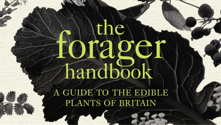 The Forager Handbook by Miles Irving